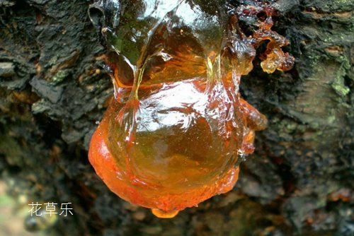 蔡司镜头参数亚洲欧美自拍动漫免费，解锁专业摄影的神秘密码